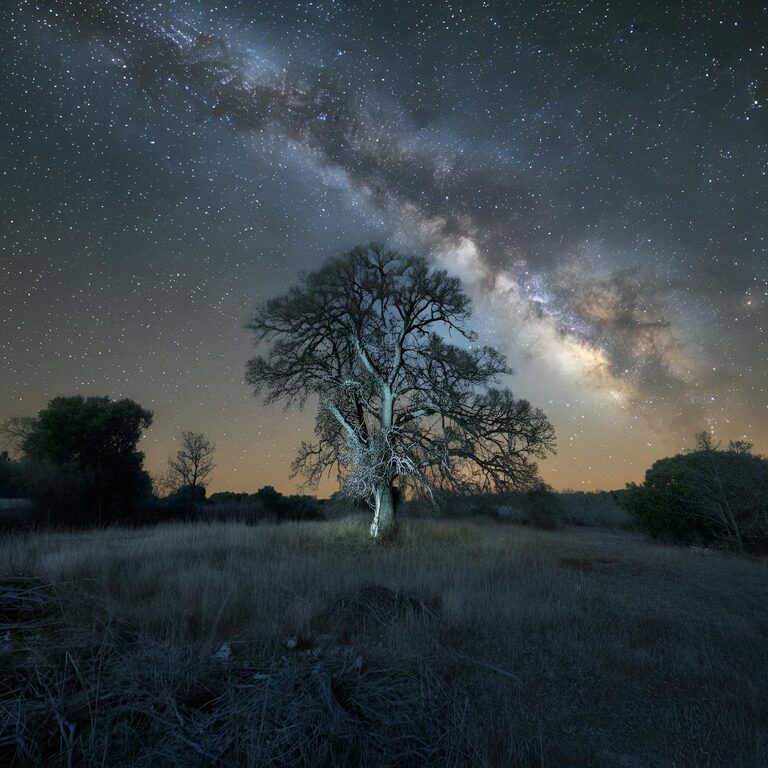 Simple Mindfulness Practices to Enhance Your Daily Life